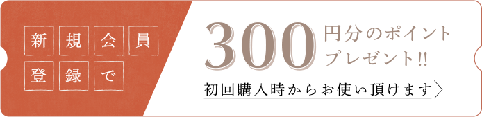 会員登録で300ポイントプレゼント